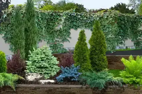 Professional landscape rejuvenation service in Northwest Arkansas