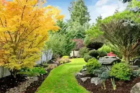 Professional property clean-up & rejuvenation service in Northwest Arkansas