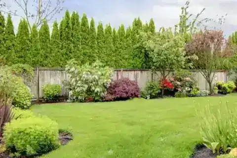 Professional irrigation design & installation service in Northwest Arkansas